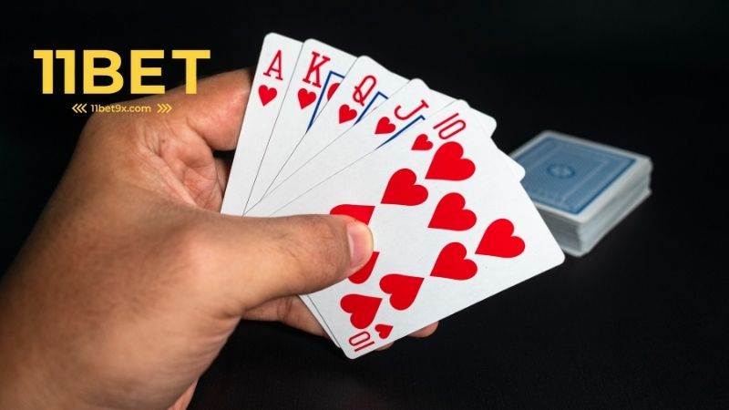 Quyền và nghĩa vụ của người chơi